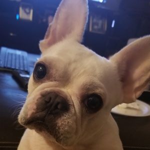 Meet your Posher, James